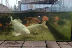IMG-20250318-WA0002