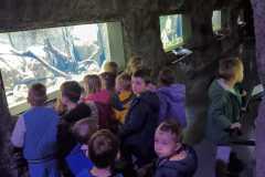 IMG-20250318-WA0004
