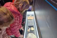 IMG-20250318-WA0009