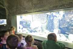 IMG-20250318-WA0010