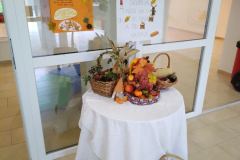 IMG-acb01e3cfced052ff73cfee1317dbb75-V