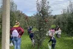 IMG-b5b2229d615dc2bcbe9884deb9f98caa-V