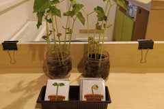 IMG-20250423-WA0019