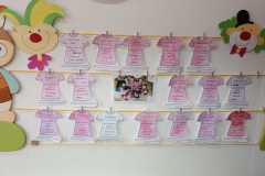 IMG-20250226-WA0015