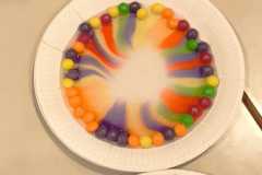 PHOTO-2026-02-18-11-19-35