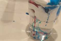 PHOTO-2026-02-18-11-19-37