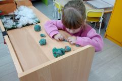 IMG_20250123_161757482_MFNR