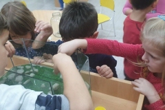 IMG-ff684263381ae346c0e1b2fce1ead951-V