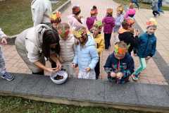 IMG-20251017-WA0008