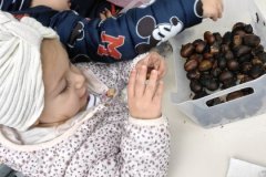 IMG-2cdc17f6f7d325ed61401b781416dcc5-V