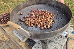 IMG-cca9be94dd6ae364f14d1bff112ca259-V