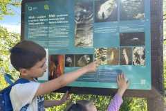 IMG-85972b9e9154f20651c2e85046a43b02-V