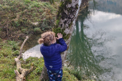 IMG-20231203-WA0297