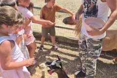 IMG-21de1b6672ae614ae1f4bded4f0782f7-V