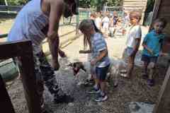 IMG-269aeee6112acc44f20e7abe168fe469-V