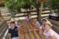 IMG-45dc979f6e01d0d372458f2bd715cd6d-V