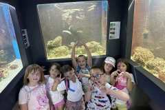 IMG-4dfd2f79c8a7ba5f8a8fb3017909e0ab-V