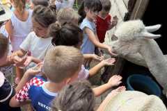 IMG-60e4a83e07698b792069fa342ffb39bf-V