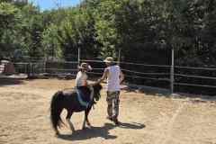 IMG-8860ed71379fbda8b54b82fabce7c3ed-V