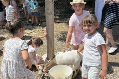 IMG-8c1179ef55330770564915718cd854cc-V