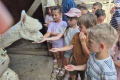 IMG-8fd80bb4b85796d9a0996f9b790f37db-V