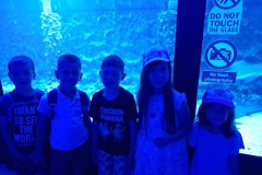 IMG-920fbf4c7a9cc222329ae3bc8b913a42-V