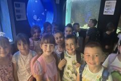 IMG-abf815890bc92f1b82d35660844cbeb7-V
