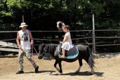 IMG-bd10c0de215024a910c3c9dc164f777b-V
