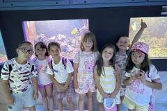 IMG-e72660b2185be3c36b487208d81e970a-V