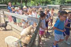 IMG-e8c28e5ad4e9ee872b1be26a6b08df59-V