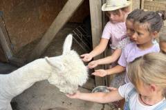 IMG-f29413ca31d36dd909f4211cba3d251e-V