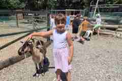 IMG-f2f8e3552b5fdb67775d47f2a6184b26-V