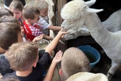 IMG-fec9443f5836c9c570f36cd42ac280c2-V