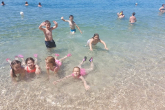 IMG-2a9ea84c4373a9037318fadc34f3de38-V