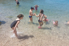IMG-62e134f802b7b85d0e3d491a26c69445-V