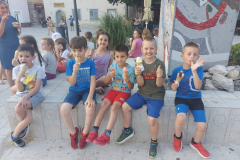 IMG-6a32be0e48017d03550ecd1bd338839f-V