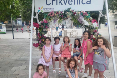 IMG-cfe9ca28cf7ec15fee9840a5c2083876-V