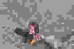 IMG-051f60741d95b1798119ce1a2287dc35-V