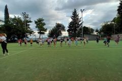 IMG-221e52759f2db76fed27caa21e69c8ed-V