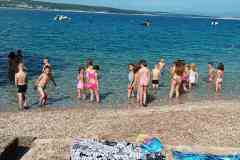 IMG-47c5283d73012d02be3041f2452d21dc-V