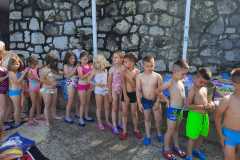 IMG-49d79d2ba4ba9060870e76e0d1f9e59a-V