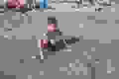 IMG-75bfacde939dd5ec5e2cb4fa59a1a317-V