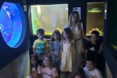 IMG-98a68ef7b0c77275565bbcdf55cd5008-V