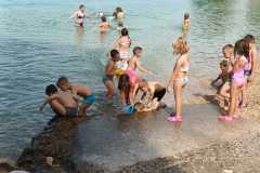 IMG-a06420326564412d5b27b86bd399b744-V
