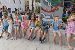 IMG-a64a50edf0c4dcef90c1a9439a66264f-V