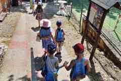 IMG-d21625defe47909e8ac5b60ddf185d7d-V