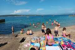 IMG-edceef0c8fbb433cde10a0c86b12aa33-V