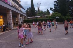 IMG-f8caa81a5a37ece423d7cd8a30801420-V