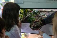 IMG-20240430-WA0027