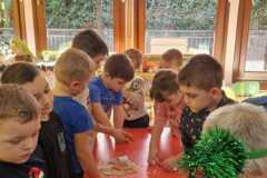 WhatsApp-Slika-2025-05-14-u-18.43.22_933ac8b112